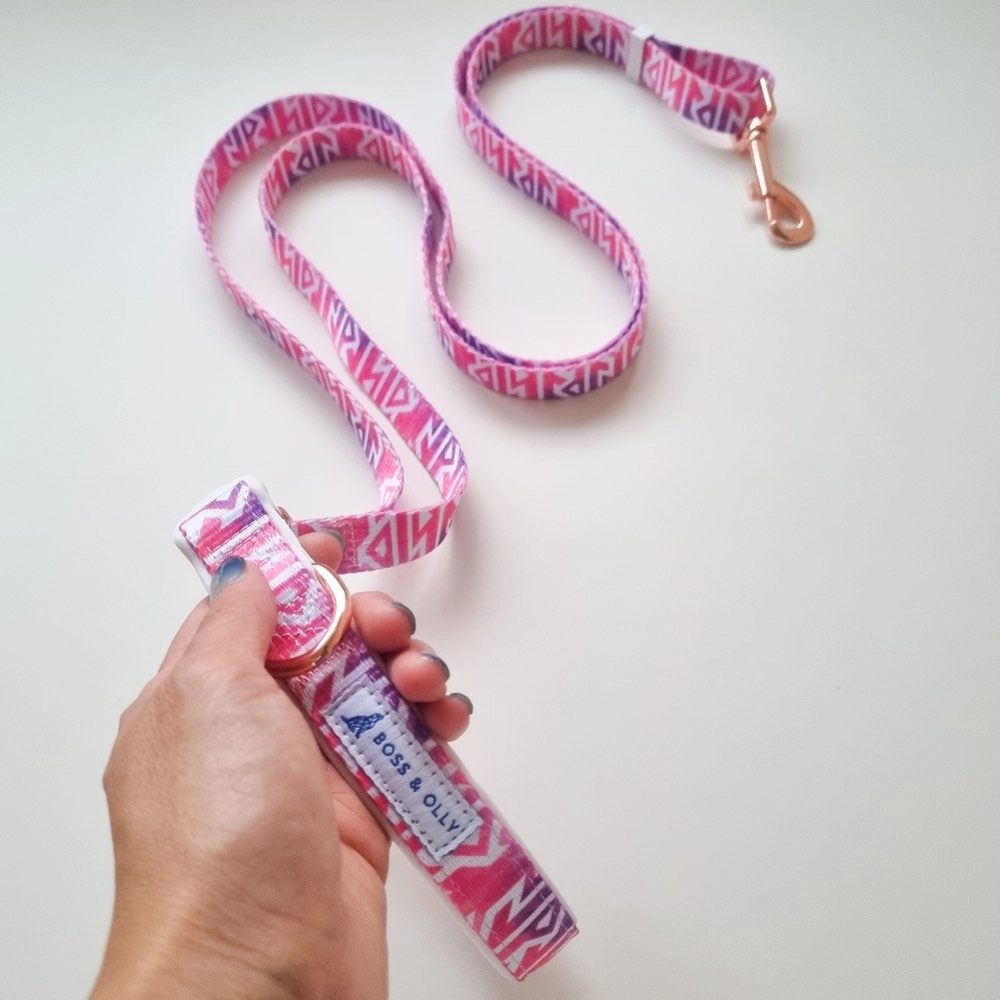 Boss & Olly Convertible Multi-Functional Dog Leash (Fruity Sorbet)