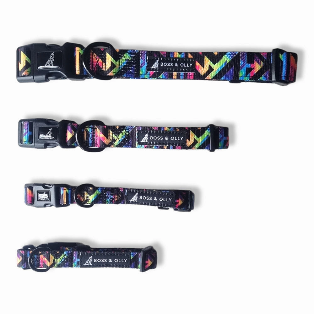 Boss & Olly Dog Collar (Aztec Rainbow)