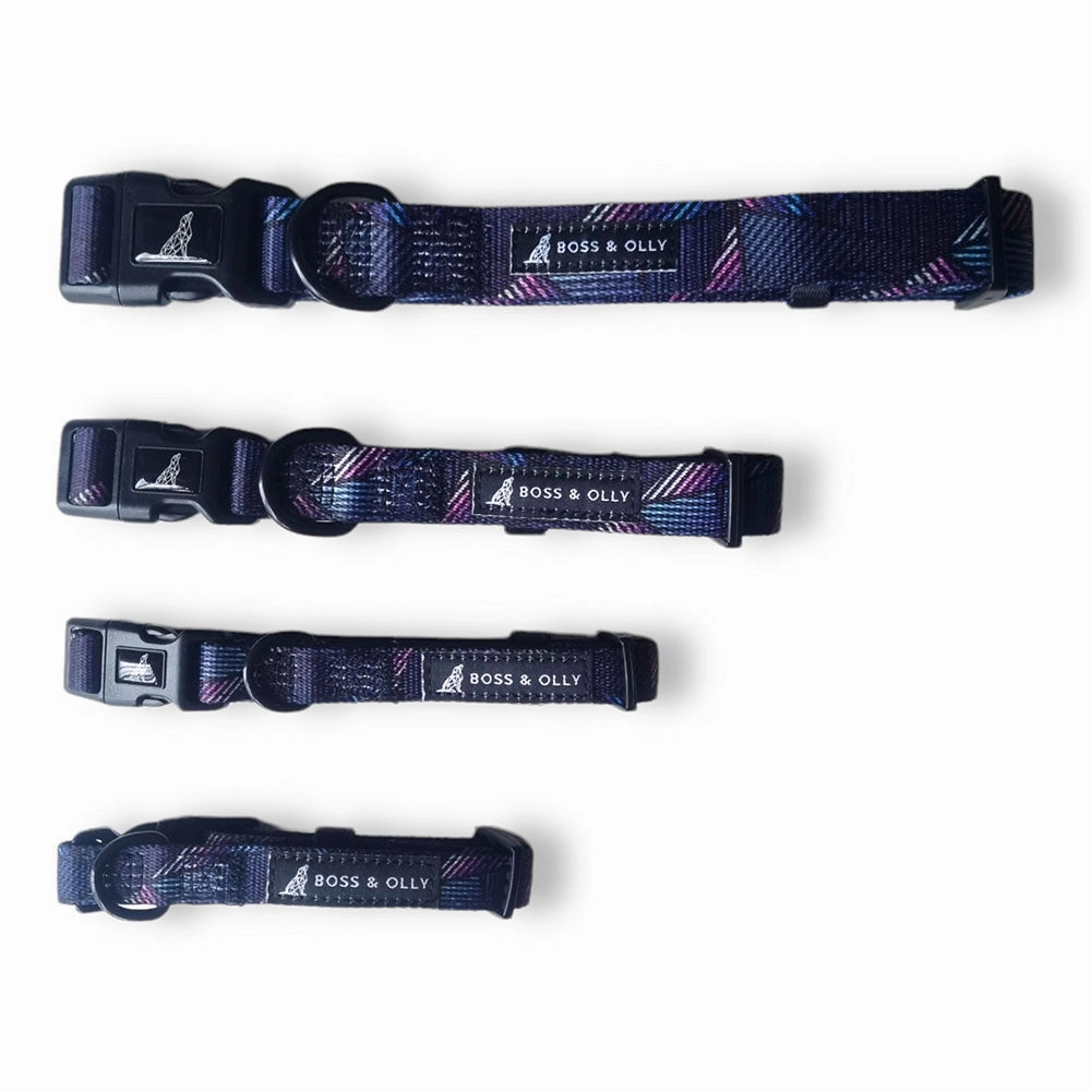 Boss & Olly Dog Collar (Midnight Dreams)