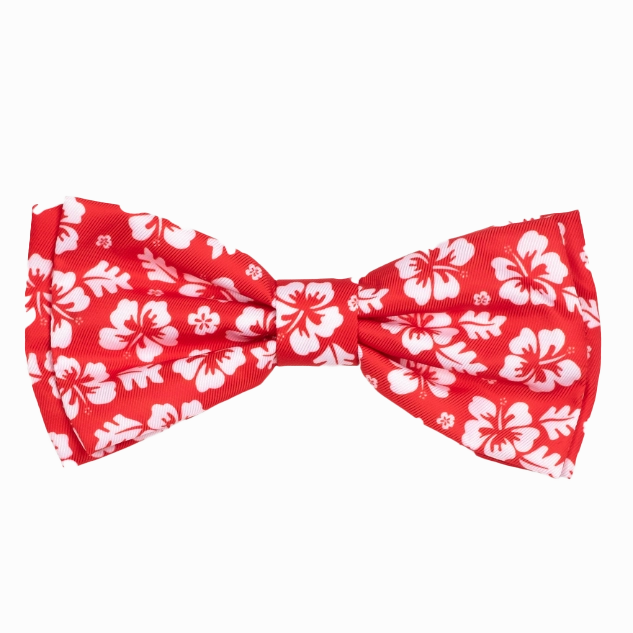 Bow Tie | Aloha Coral