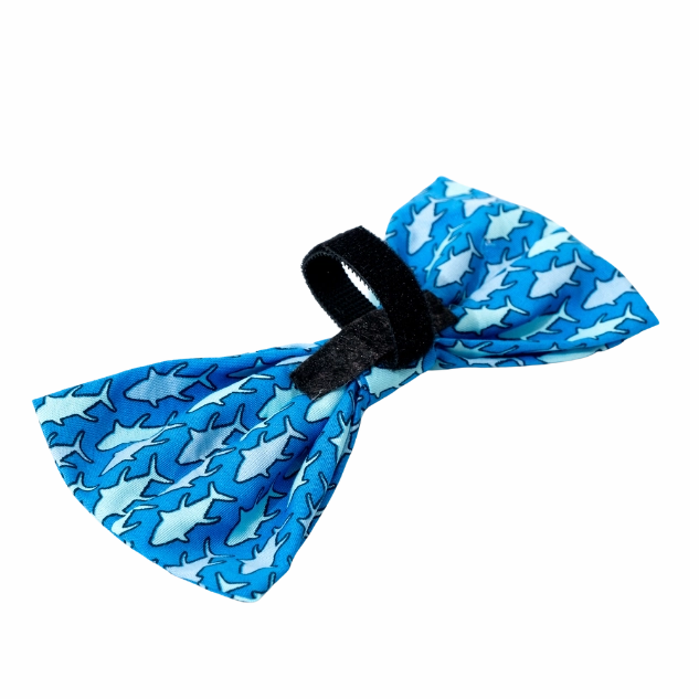 Bow Tie | Fishy