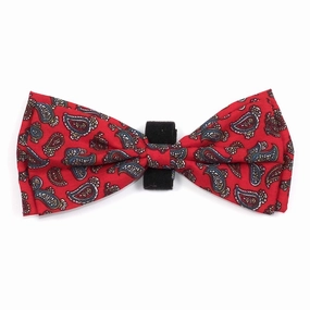Bow Tie | Paisley