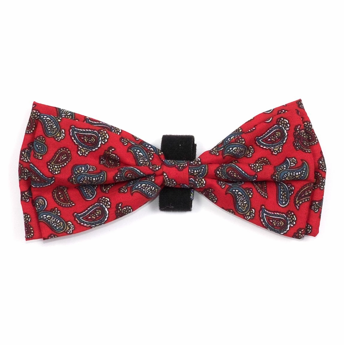 Bow Tie | Paisley