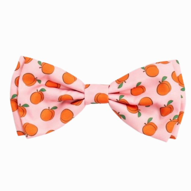 Bow Tie | Peachy Keen