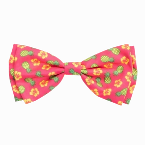 Bow Tie | Pineapple Delight