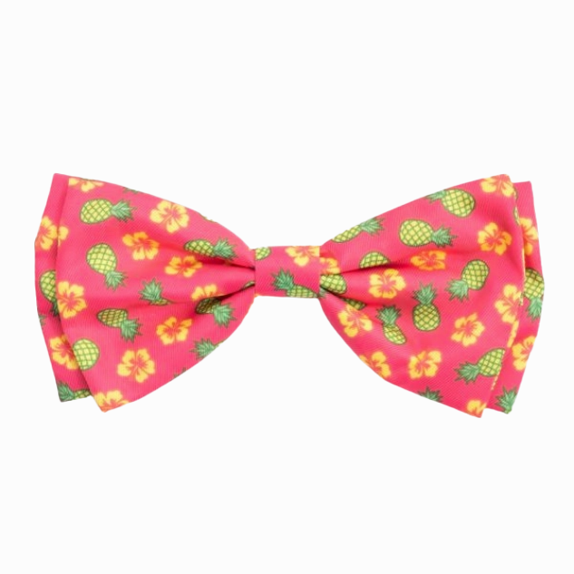 Bow Tie | Pineapple Delight
