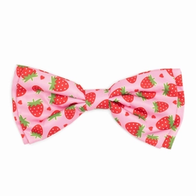 Bow Tie | Strawberries