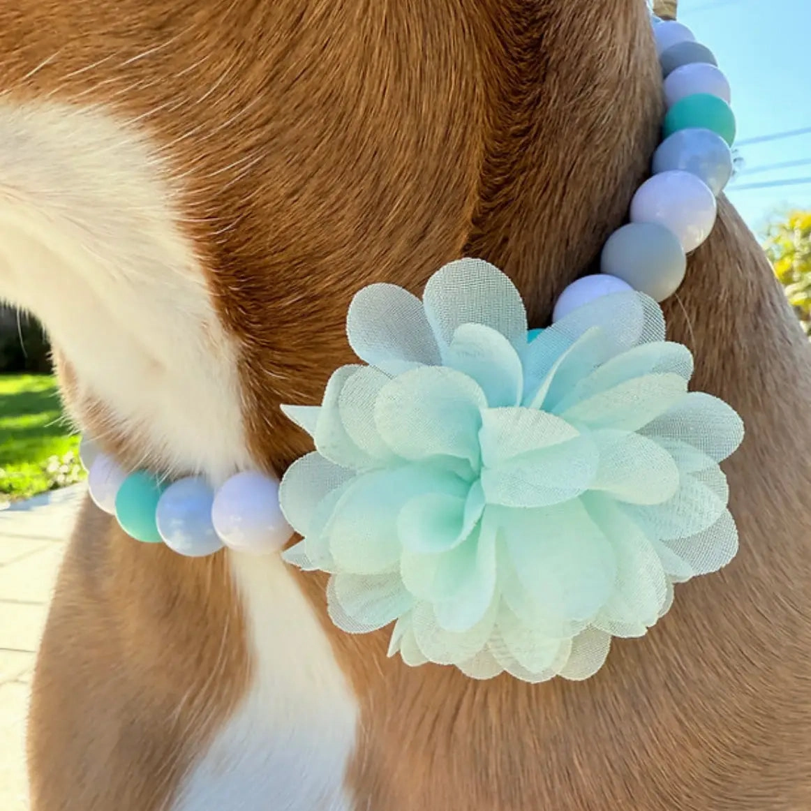 Breezy Blooms Beaded Pet Collar