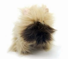 Brussels Griffon Pipsqueak Dog Toy