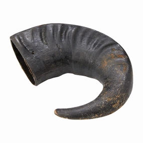 Buffalo Horn