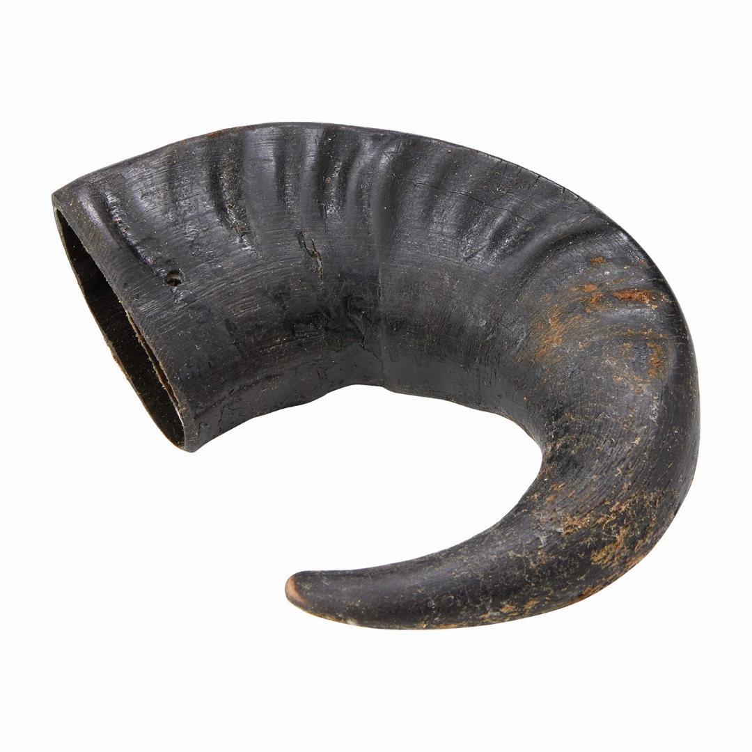 Buffalo Horn