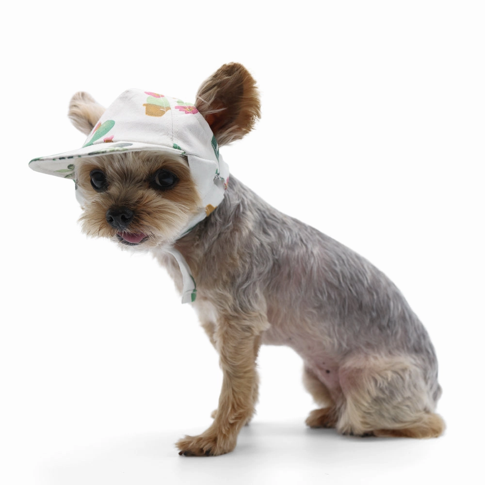 Cactus Hat