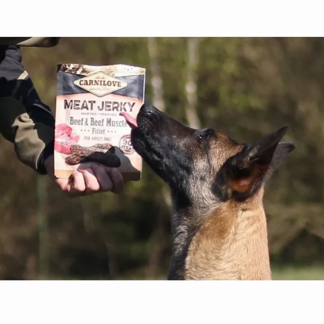 Carnilove Beef and Beef Muscle Meat Jerky