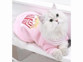 Cat Clothes As Photo Type 14