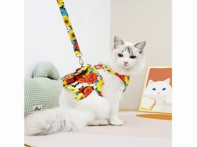 Cat Clothes Orange Chest