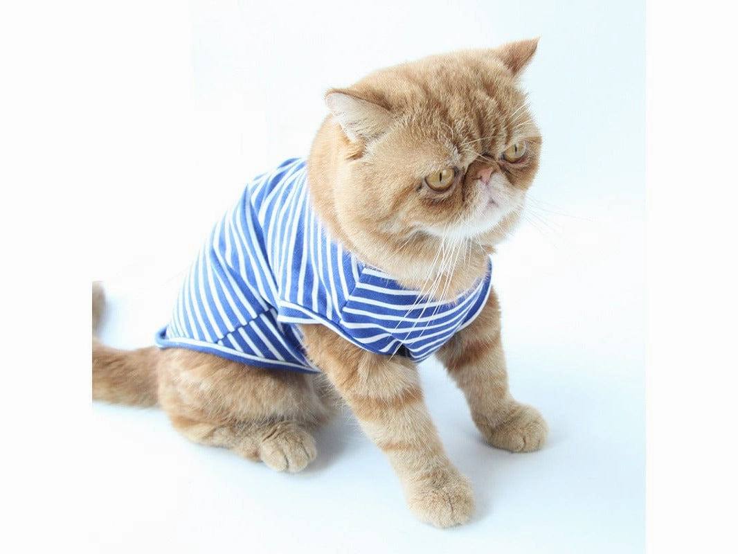 Cat Clothes Type 10