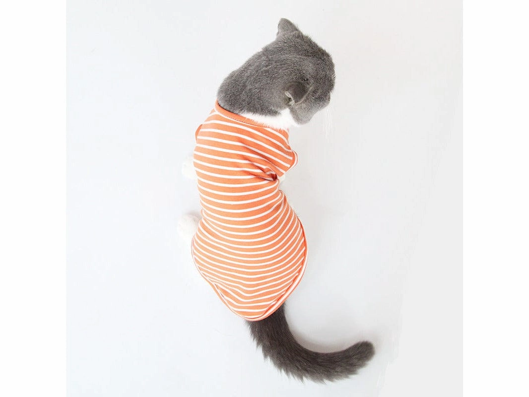 Cat Clothes Type 10