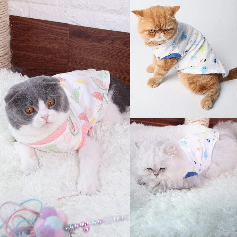 Cat Clothes Type 11