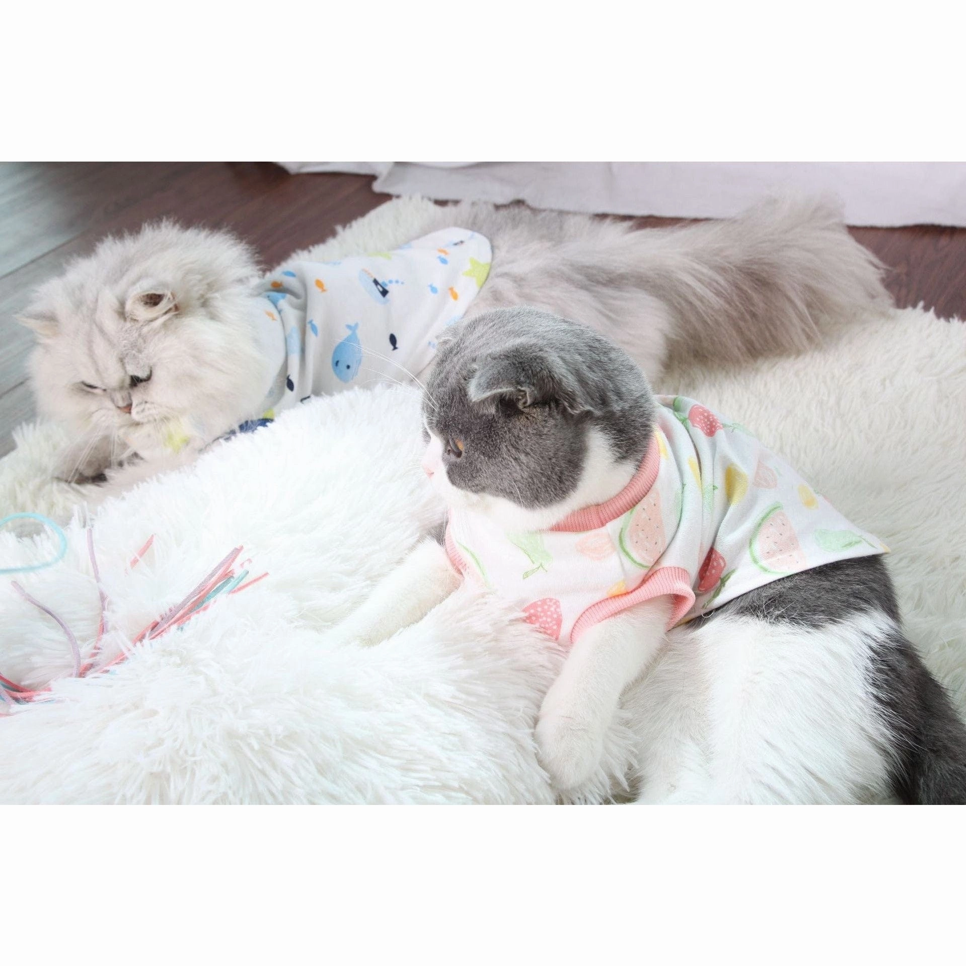 Cat Clothes Type 11