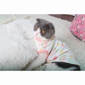 Cat Clothes Type 11