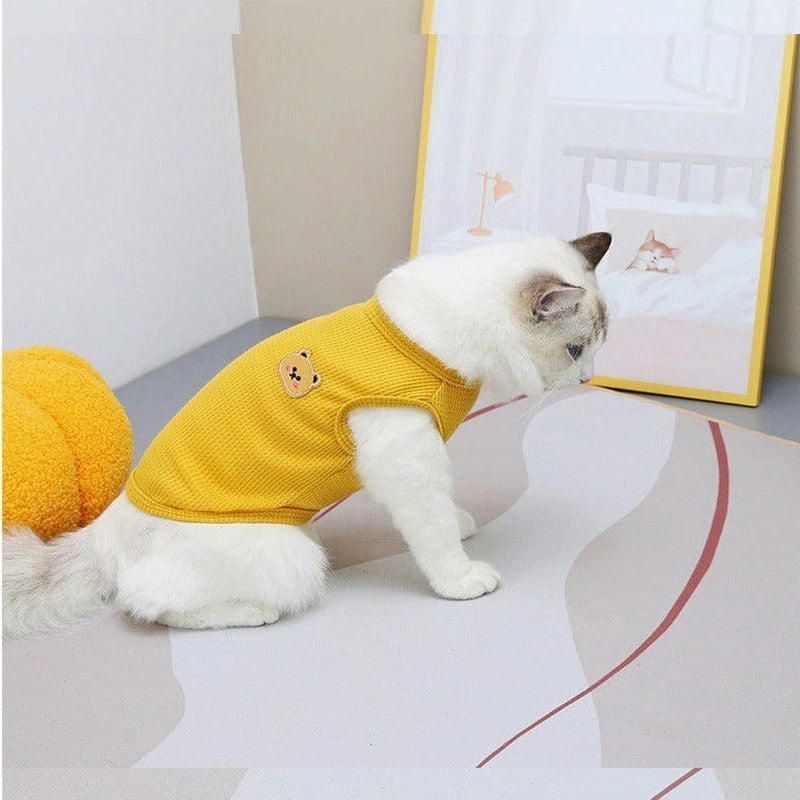 Cat Clothes Type 2