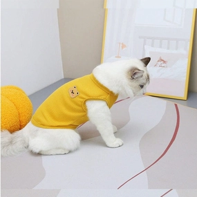 Cat Clothes Type 2