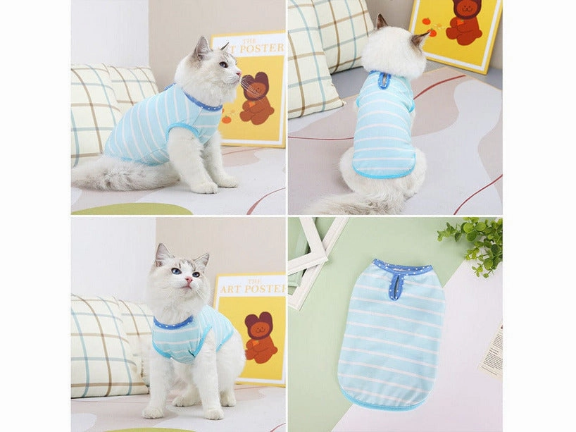 Cat Clothes Type 4