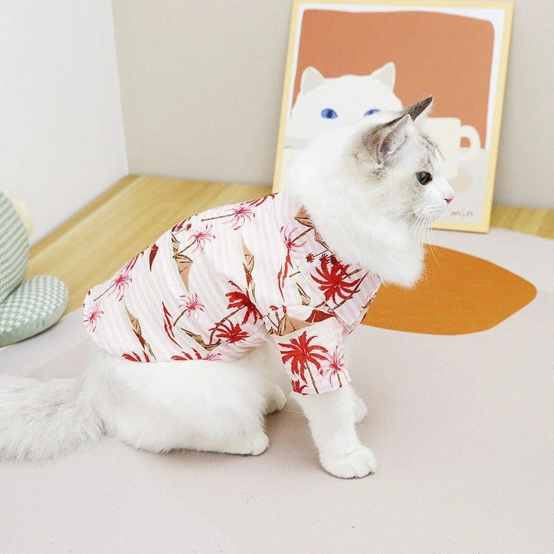 Cat Clothes Type 8
