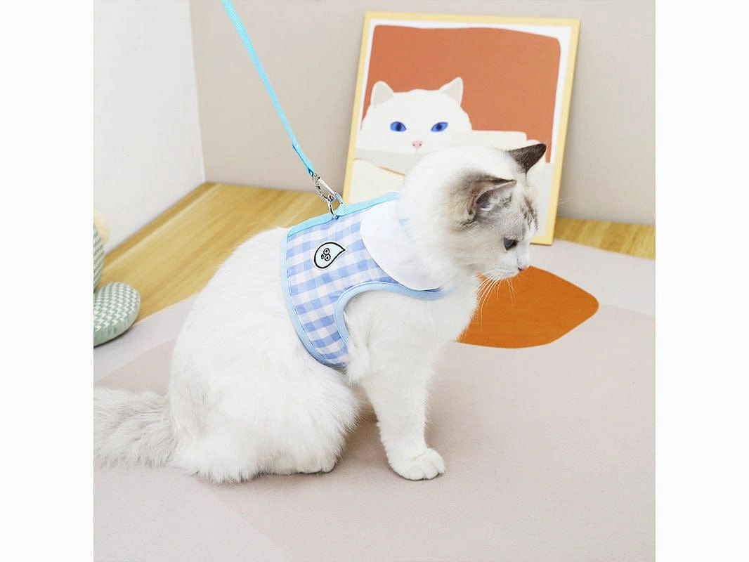 Cat Clothes Type 9