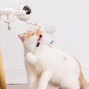 Cat Intelligent Toy