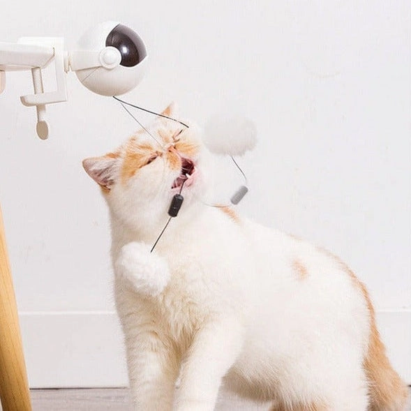 Cat Intelligent Toy