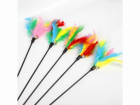 Cat Play Rob Mix Color 50Cm