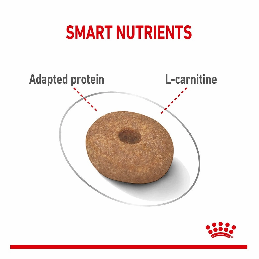 CCN Mini Light Weight Care Dog Dry Food
