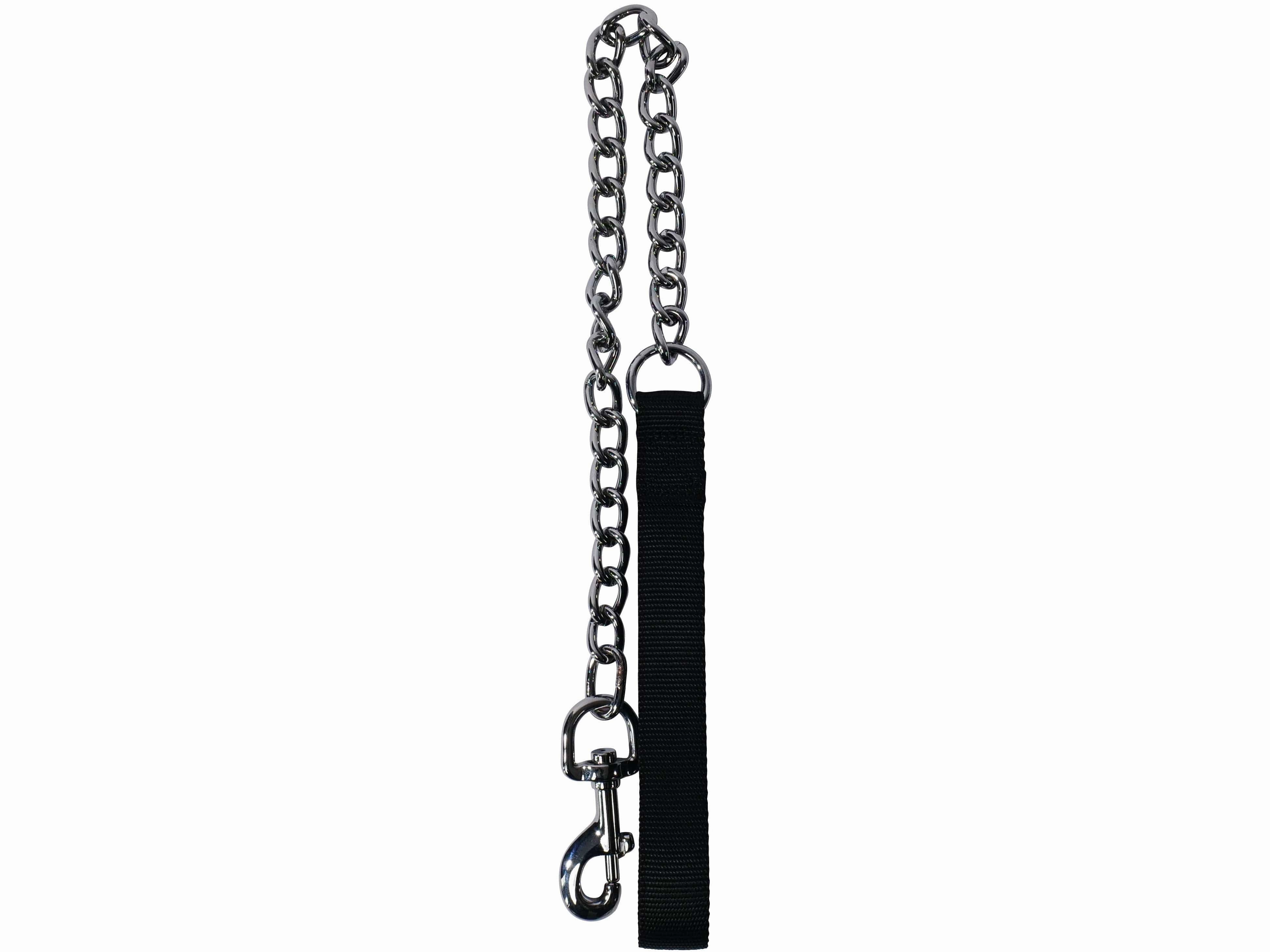 CHAIN Leash Silver