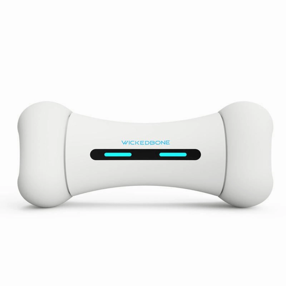 Cheerble Wicked Bone Interactive Toy for Dogs