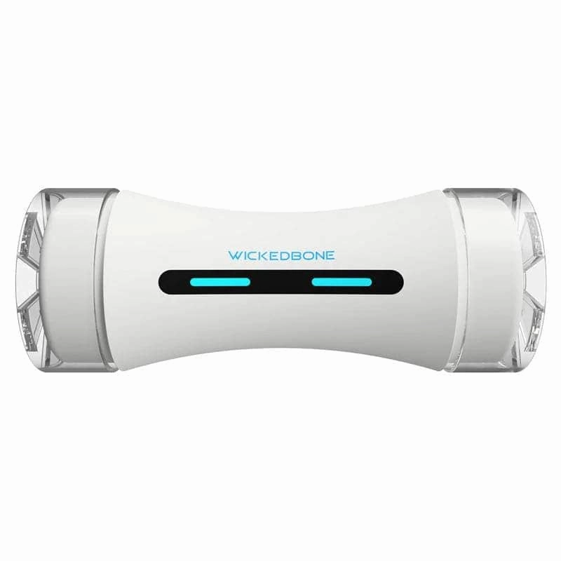 Cheerble Wicked Bone Interactive Toy for Dogs