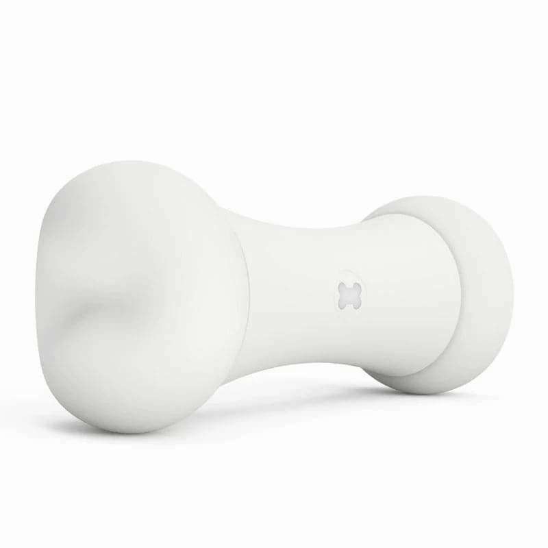Cheerble Wicked Bone Interactive Toy for Dogs
