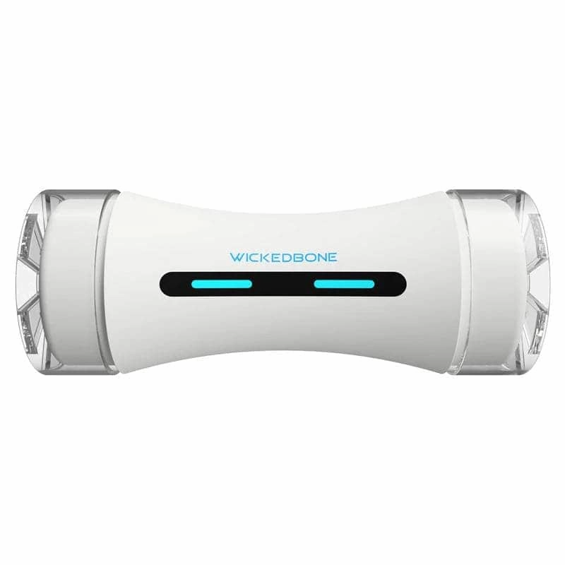 Cheerble Wicked Bone Interactive Toy for Dogs