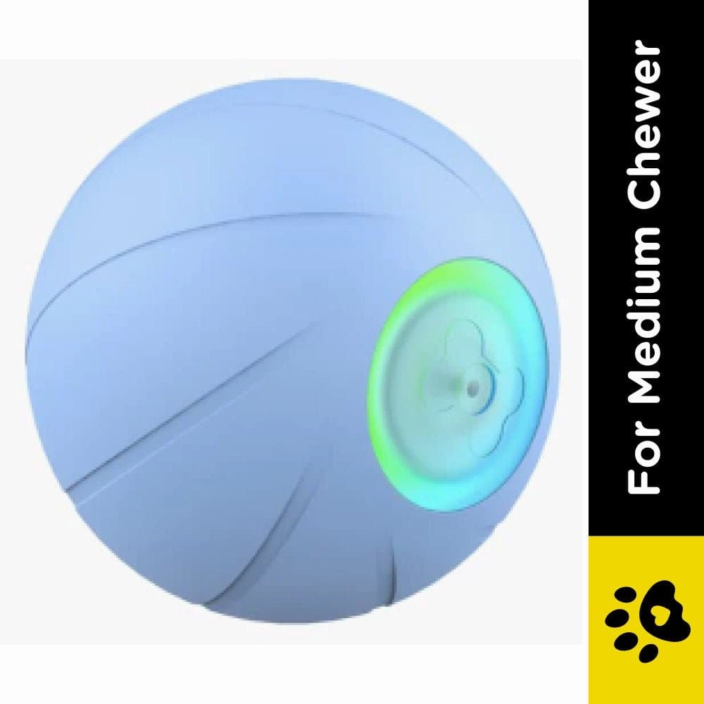 Cheerble Wicked SE Ball Toy for Dogs | For Medium Chewers (Blue)