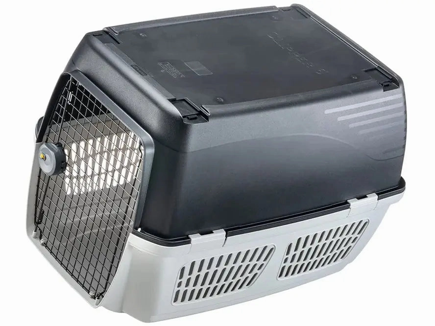 Clipper 6 Carrier