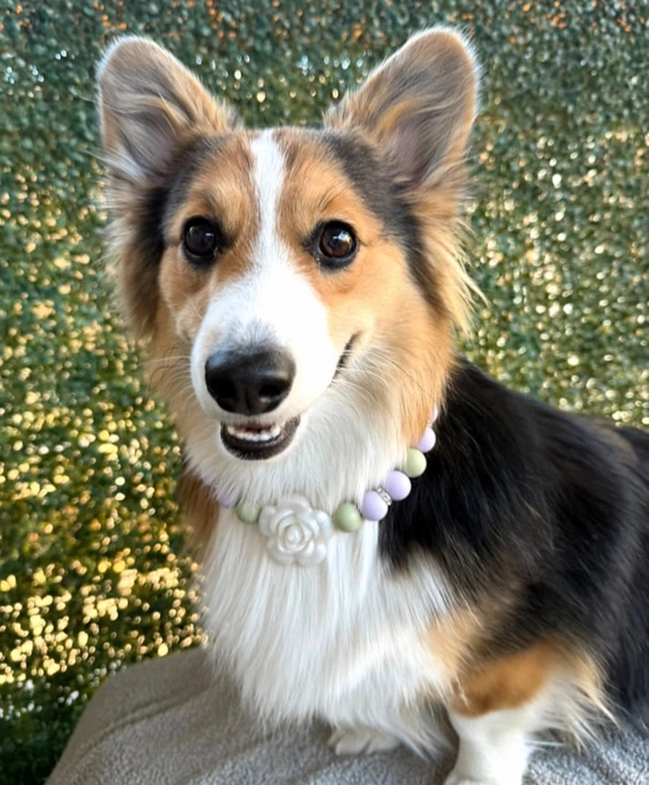 Clover Beaded Collar