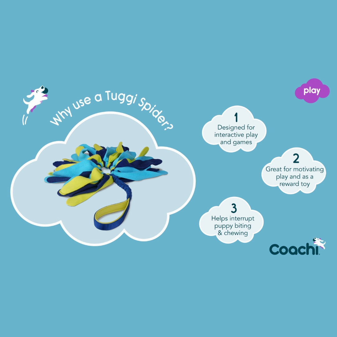 Coachi Tuggi Spider