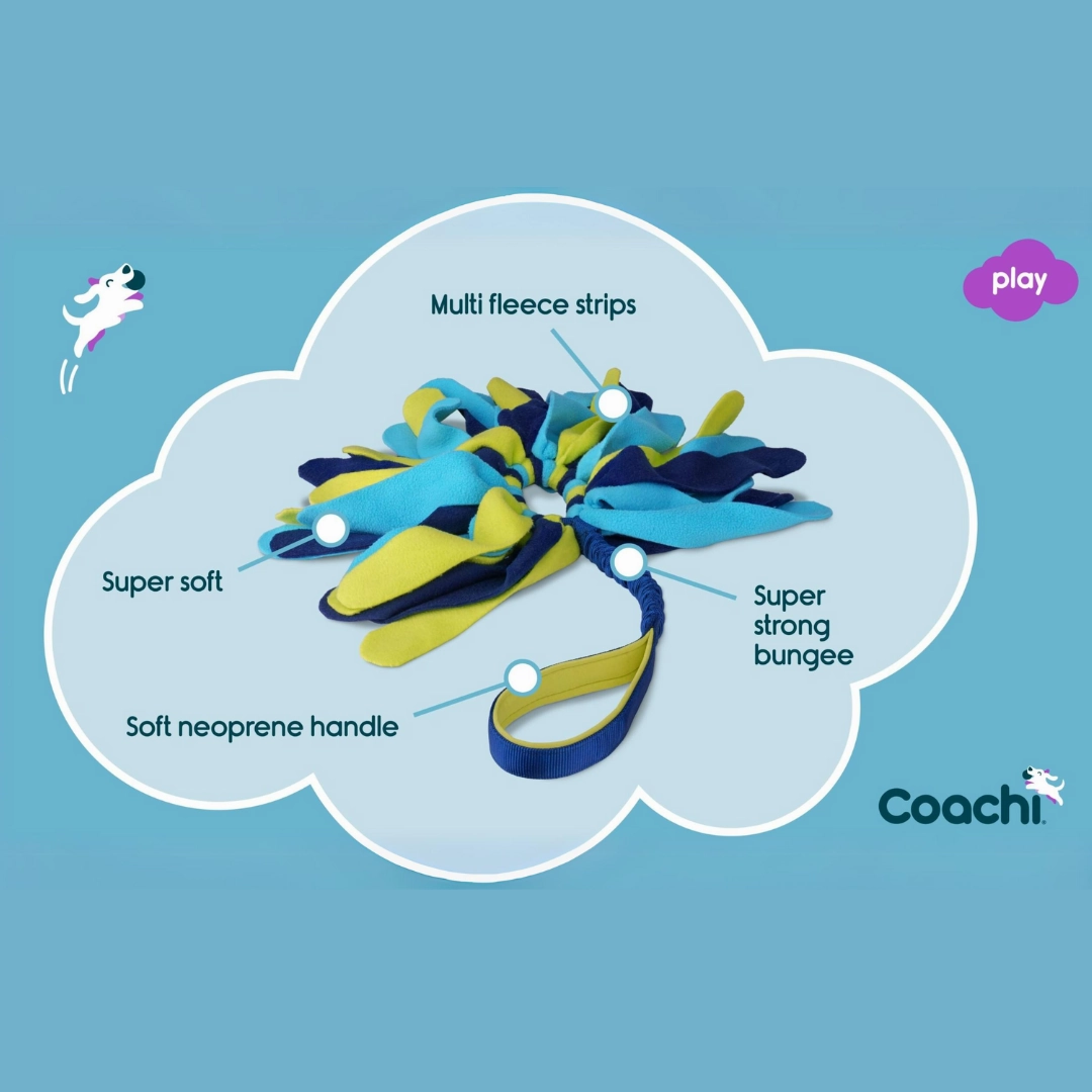 Coachi Tuggi Spider