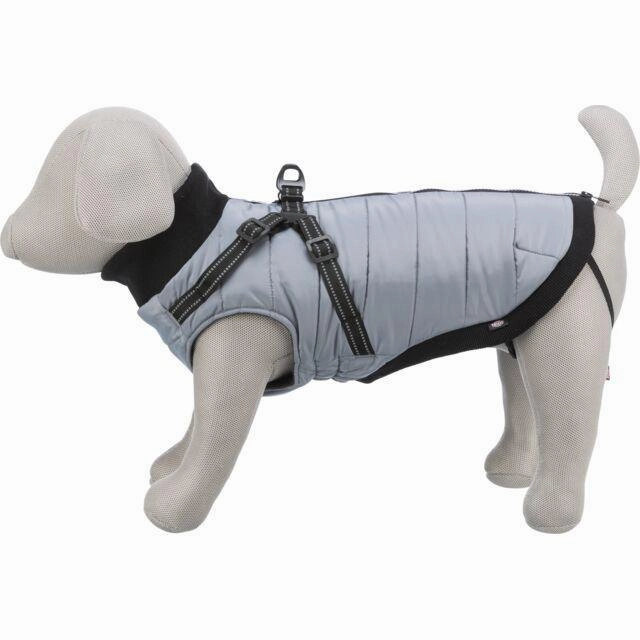 Coat with harness Pontis Grey