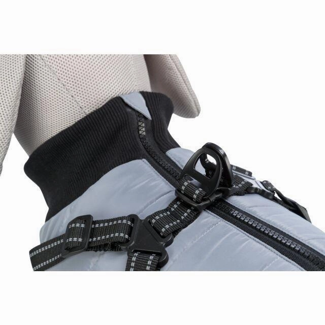 Coat with harness Pontis Grey