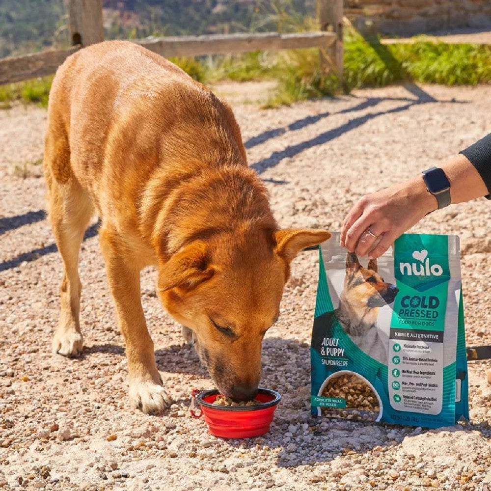 Cold Pressed - Salmon Chicken & Whitefish for Adult & Puppy Dog Dry Food