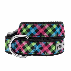 Collar | Carnival Check