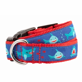 Collar | Chomp Sharks