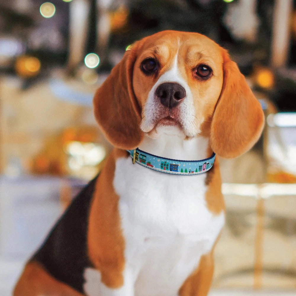 Collar | City Christmas