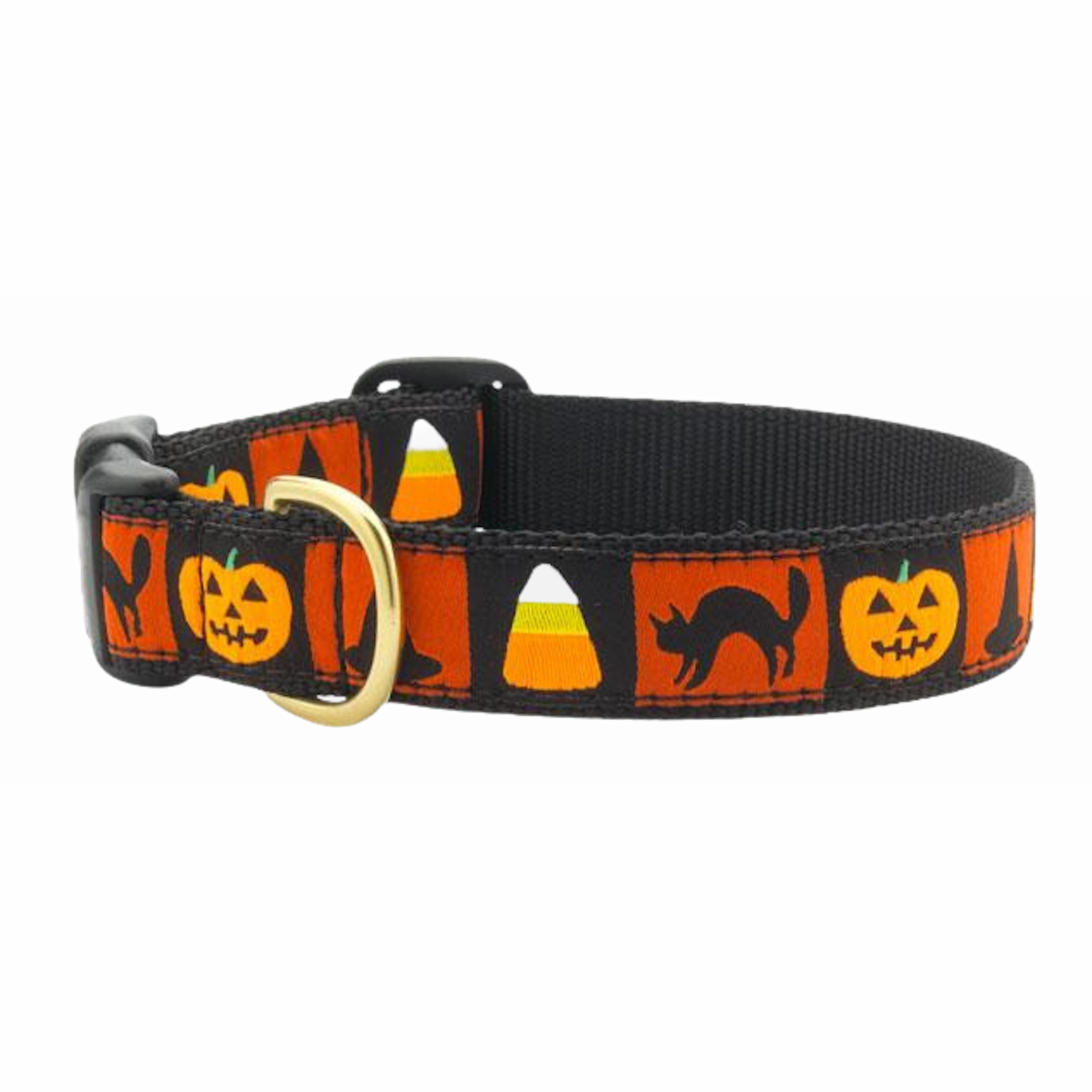 Collar | Halloween